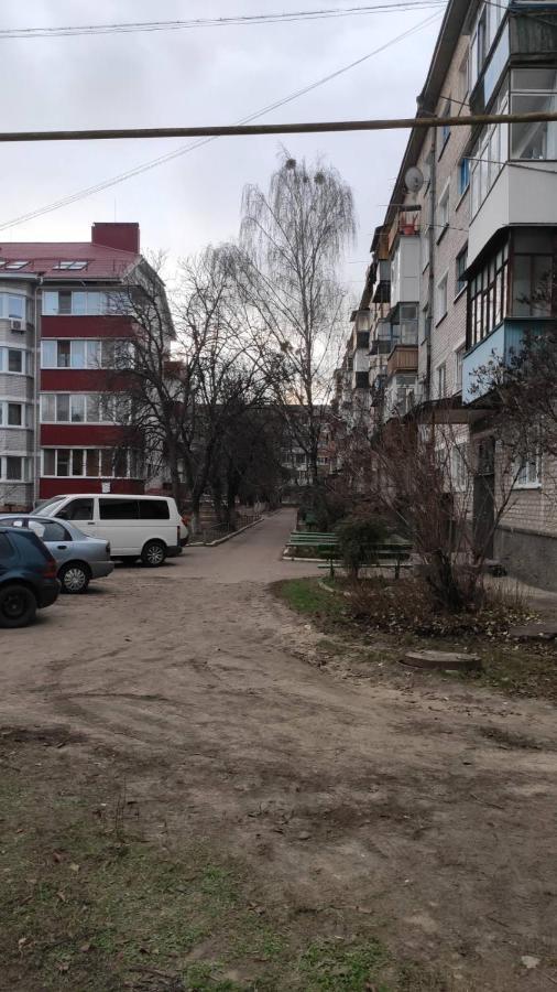 2-Х Комнатная Квартира Korosten Exterior photo